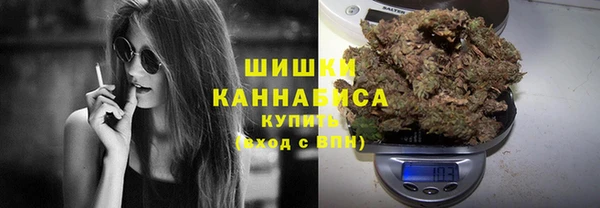 МДПВ Богородицк