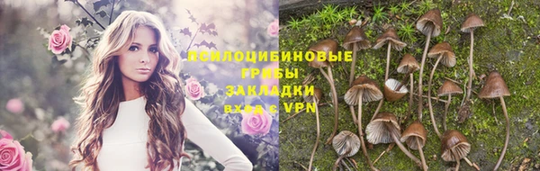 МДПВ Богородицк